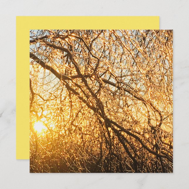 Invitation branches de glaçon au coucher du soleil (Devant / Derrière)