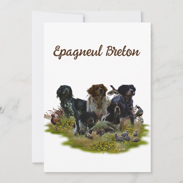 Invitation Bretagne Espagnols, chasse aux oiseaux (Devant)