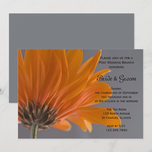 Invitation Brunch de l'après-mariage Orange Daisy Gray (Devant / Derrière)