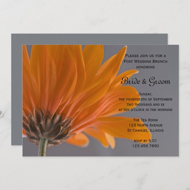 Invitation Brunch de lendemain de mariage Orange Daisy Gray (Devant / Derrière)