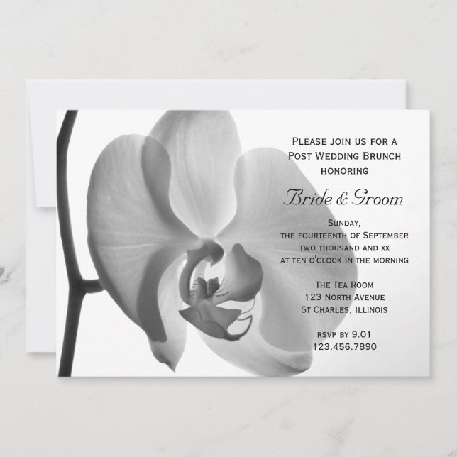 Invitation Brunch de Mariage Blanc Orchidée Après-Mariage (Devant)