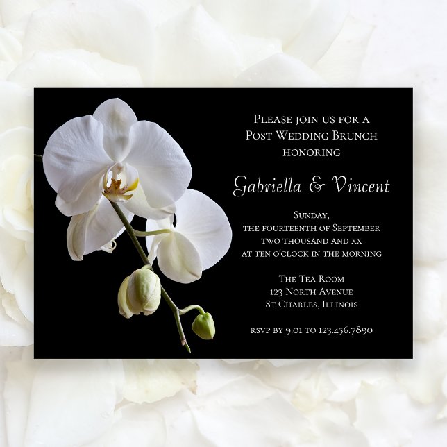 Invitation Brunch de mariage blanc orchidée sur fond noir (Créateur téléchargé)