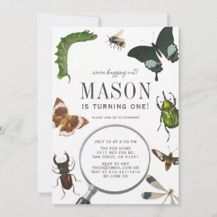 Invitation Bugs & Insectes Garçon Vintage 1er Anniversaire
