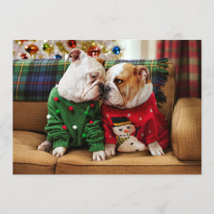 Invitation Bulldogs de Noël en pulls