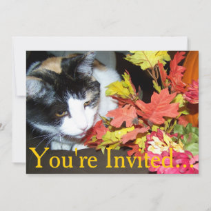 Invitation Calico Cat Thanksgiving Intition Pour Le Dîner
