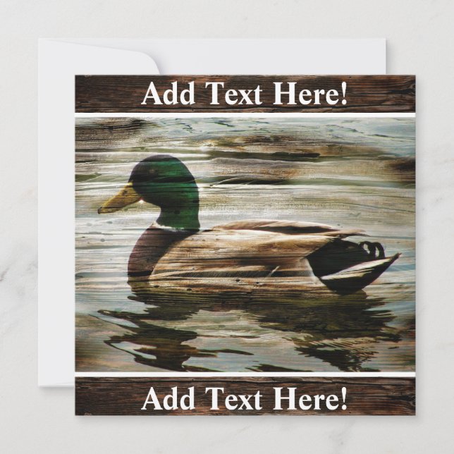 Invitation Canard Colvert (Devant)