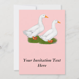 Invitation Canards : White Pekins