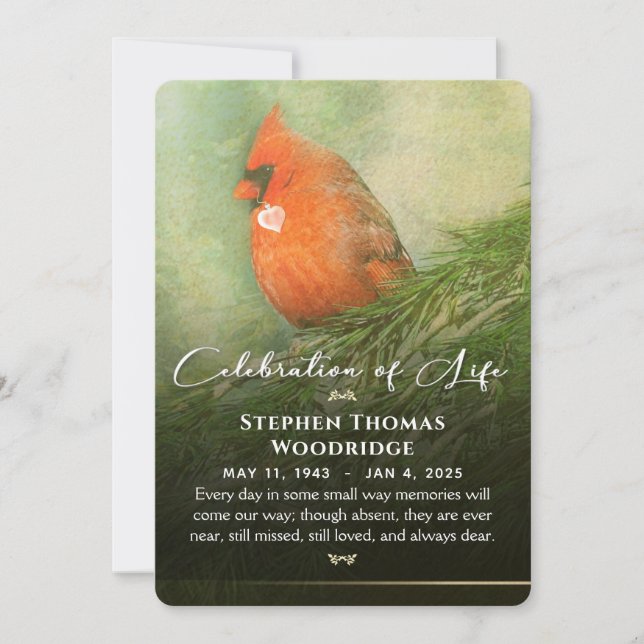 Invitation Cardinal à Spruce Célébration de la vie Photo 5x7 (Devant)