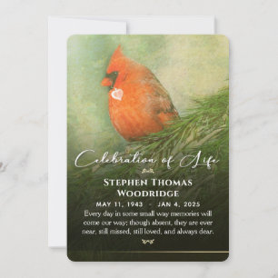 Invitation Cardinal en épicéa Célébration de la vie 5x7 Invit