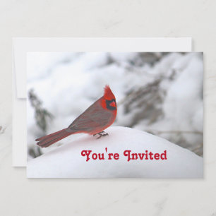 Invitation Cardinal Neige 6241 Anniversaire