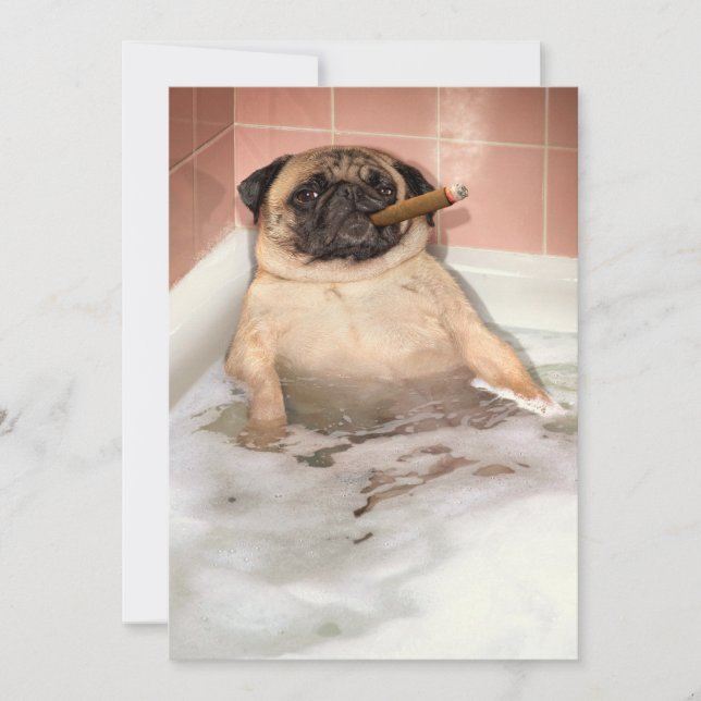 Invitation Carlin prenant un bain bouillonnant (Devant)