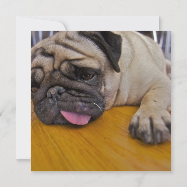 Invitation Carlin une trop d'invitation (Devant)