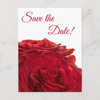 Invitation Carte Postale 1824-Roses rouges
