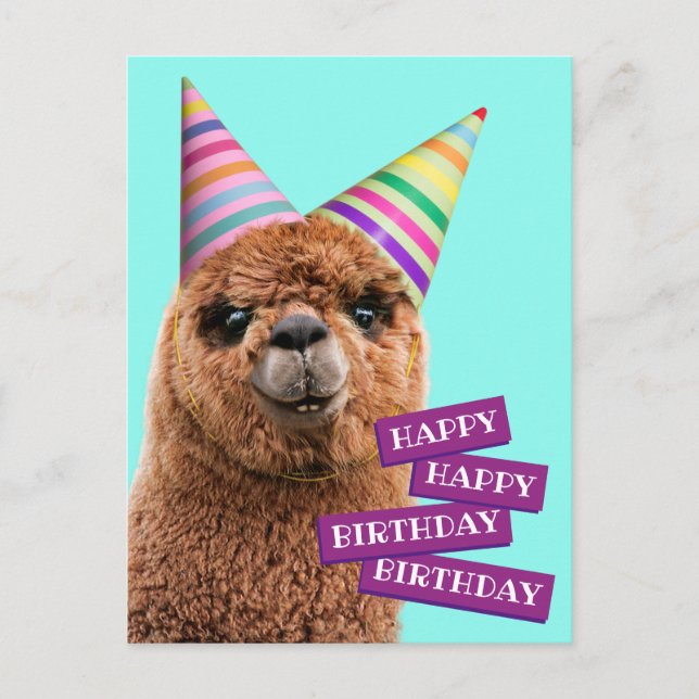 Invitation Carte Postale Alpaca portant des chapeaux de fête (Devant)
