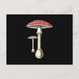 Invitation Carte Postale Amanita Muscaria Champignons Botanique Nature Fung
