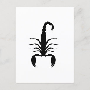Invitation Carte Postale Animaux Noir Scorpion Scorpio Idée cadeau