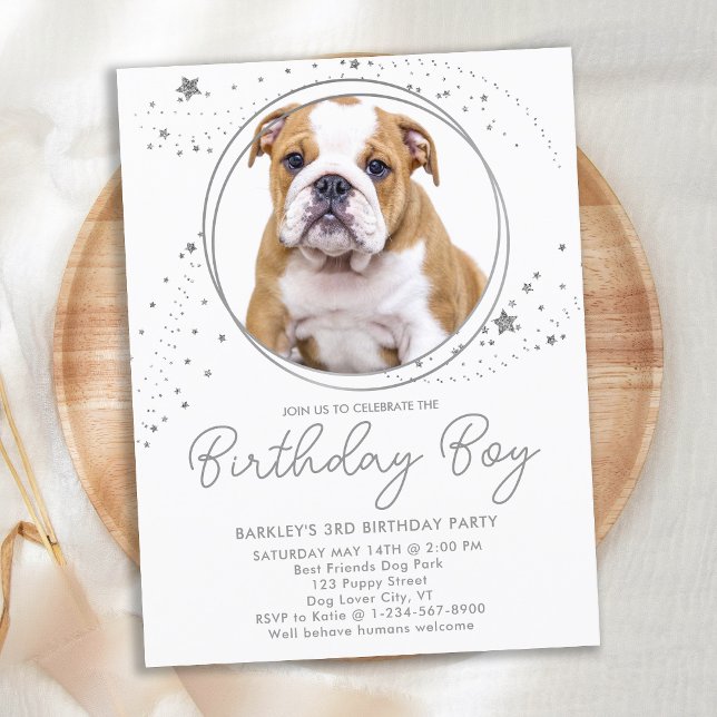 Invitation Carte Postale Argent Stars Personnalisé Animaux de compagnie Pho (Créateur téléchargé)
