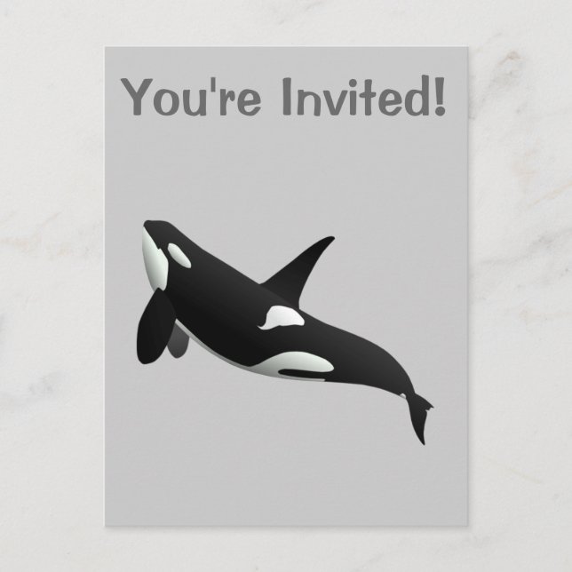 Invitation Carte Postale Baleine tueuse, Orcinus Orca (Devant)