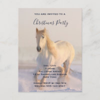 Beau Cheval blanc dans la neige Photo Noël