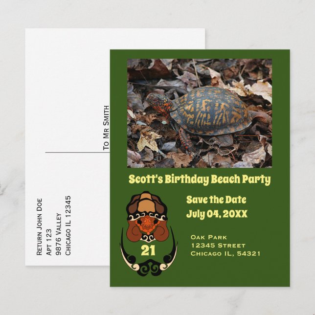 Invitation Carte Postale Boîte Turtle Cartoon Anniversaire de fête Photo (Devant / Derrière)