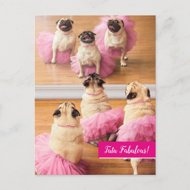 Invitation Carte Postale Carlins Ballerina En Tutus (Devant)