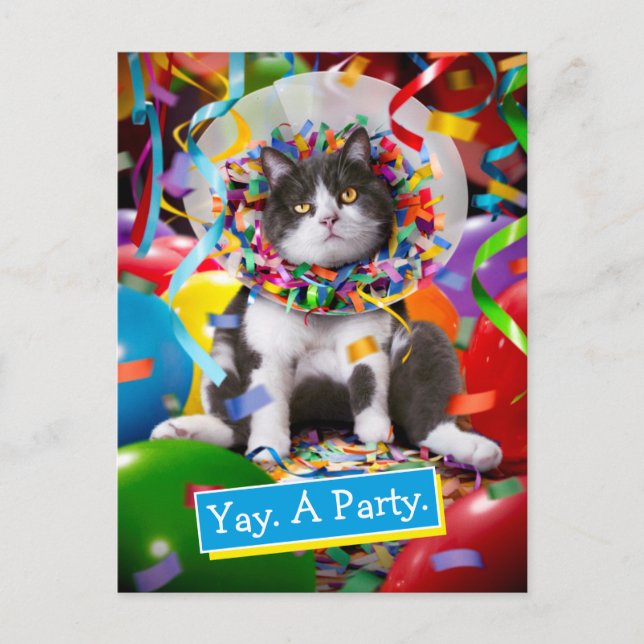 Invitation Carte Postale Cat dans le cône de partie (Devant)