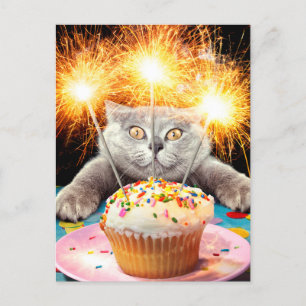 Invitation Carte Postale Chat Avec Cupcake Sparkler
