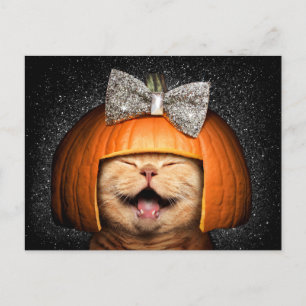 Invitation Carte Postale Chat avec des cheveux de citrouille