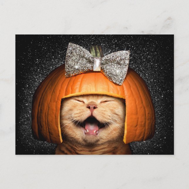 Invitation Carte Postale Chat avec des cheveux de citrouille (Devant)