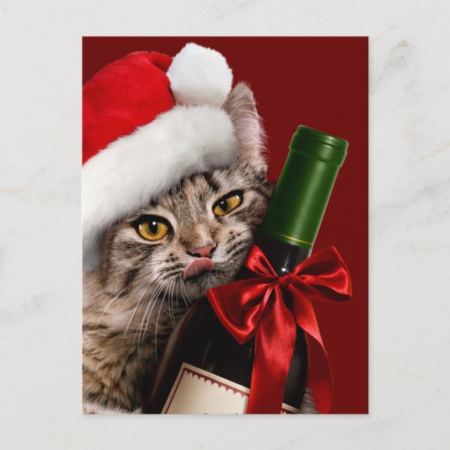 Invitation Carte Postale Chat de Noël avec bouteille de vin (Devant)