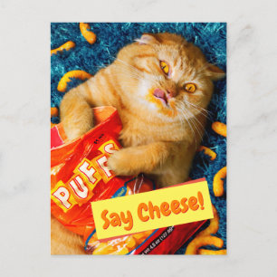 Invitation Carte Postale Chat Manger Fromage Puits