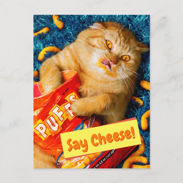 Invitation Carte Postale Chat Manger Fromage Puits (Devant)