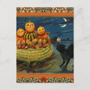 Invitation Carte Postale Chat noir vintage Halloween Citrouille