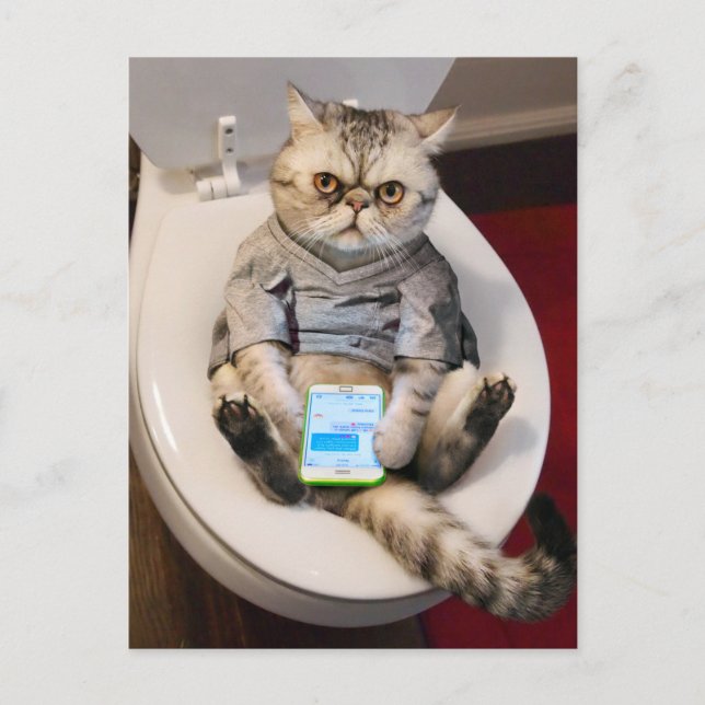 Invitation Carte Postale Chat sur Toilette (Devant)