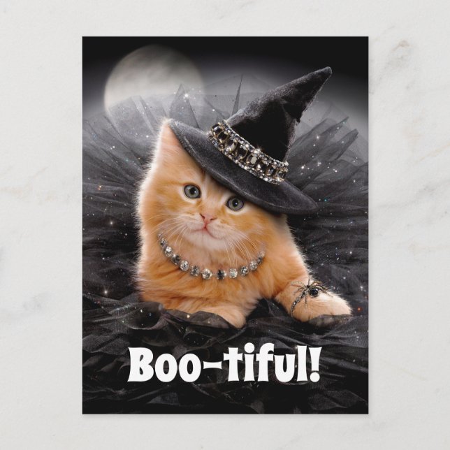 Invitation Carte Postale Chaton sorcier glamour (Devant)