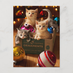 Invitation Carte Postale Chatons dans une boîte d'ornement