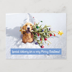 Invitation Carte Postale Chien avec arbre en neige