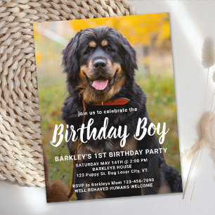 Invitation Carte Postale Chien Chien Chien Chien Anniversaire Fête Personna