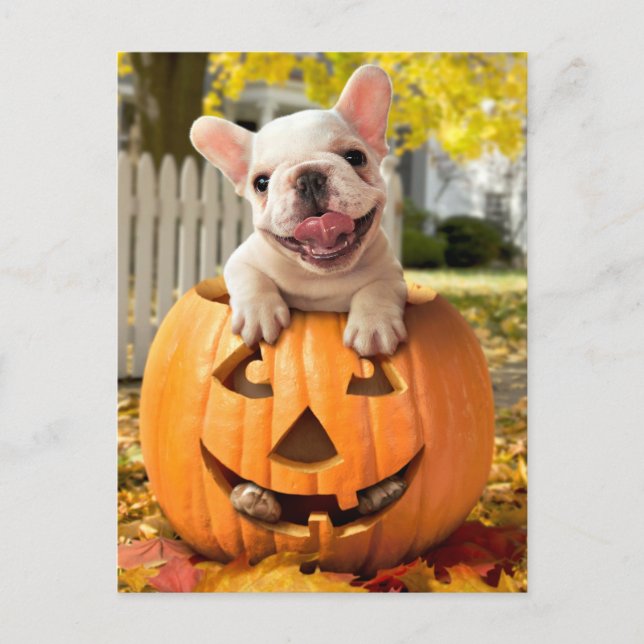 Invitation Carte Postale Chien dans Jack-o-Lantern (Devant)