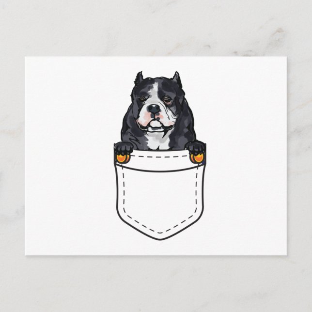 Invitation Carte Postale Chien de poche (Devant)