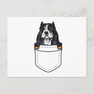 Invitation Carte Postale Chien Pocket Bully