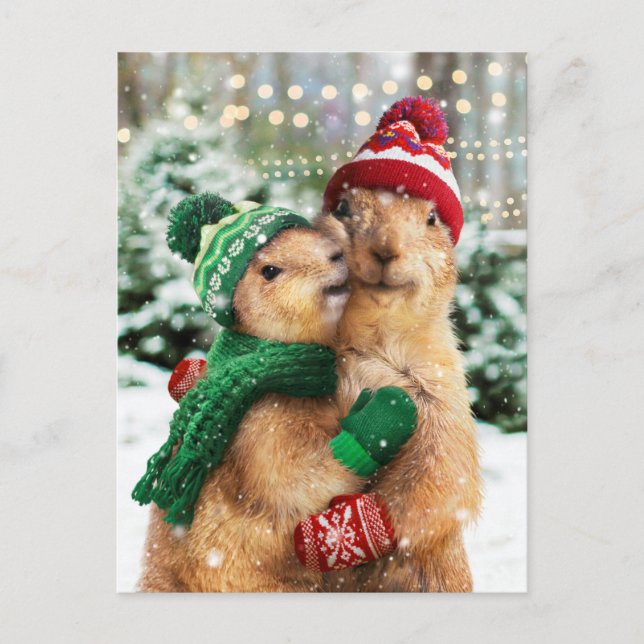 Invitation Carte Postale Chiens de Prairie de Noël (Devant)