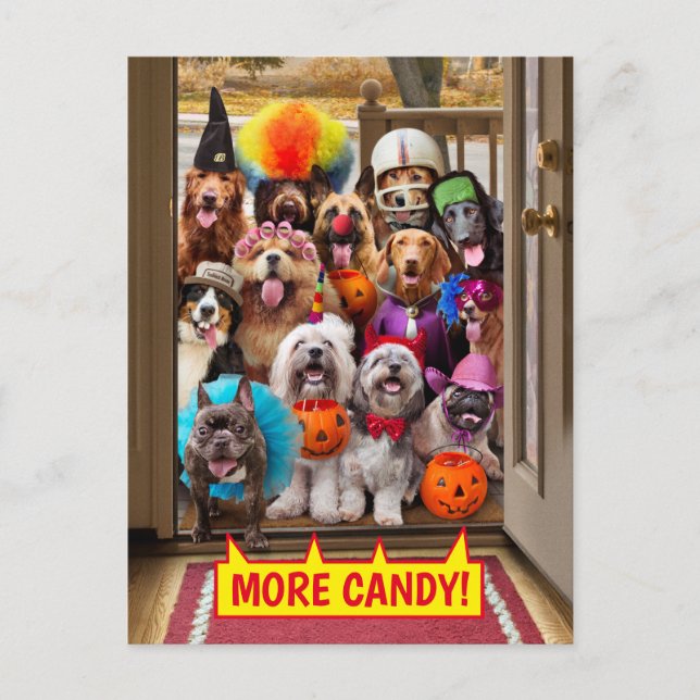 Invitation Carte Postale Chiens qui quémandent des friandises Halloween (Devant)