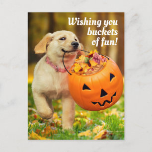 Invitation Carte Postale Chiot avec seau de citrouille