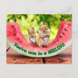 Invitation Carte Postale Chipmunks mangeant de la pastèque