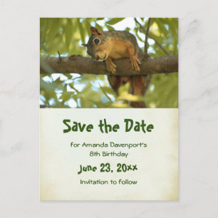 Invitation Carte Postale Cute Curious Squirrel Nature Photo - Save the Date
