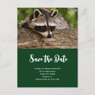 Invitation Carte Postale Cute Raccoon reposant sur un journal Enregistrer l