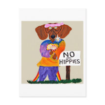 Dachshund Hippie au panneau Pas d'Hippies
