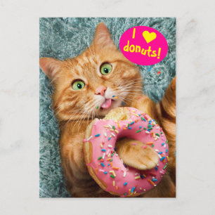 Invitation Carte Postale Donut mangeur de chats