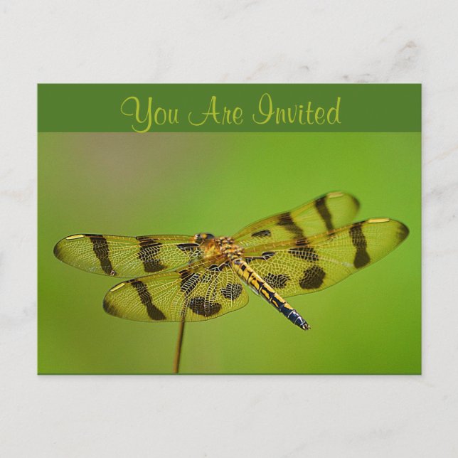 Invitation Carte Postale Dragonfly d'invitation (Devant)